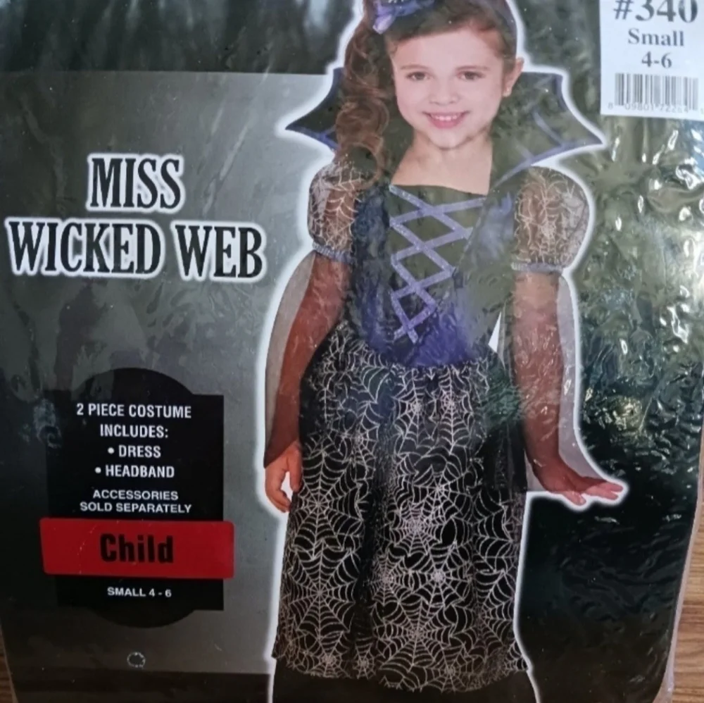 Miss Wicked Web Halloween Costume Child Size Small 4-6